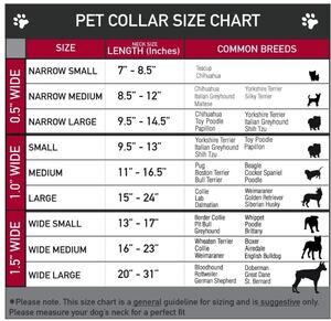 Buckle-Down Peanut Butter & Jelly Dog Collar Small 13-18